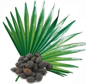 Saw Palmetto y SOP