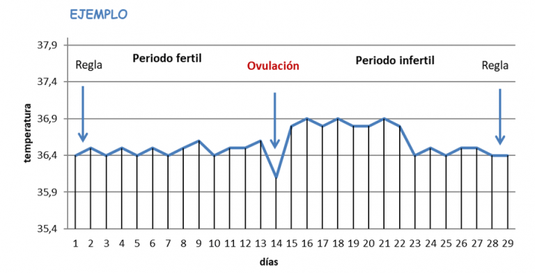 Método sintotérmico en mujeres con SOP: ¿Qué es? ¿Cómo se realiza?